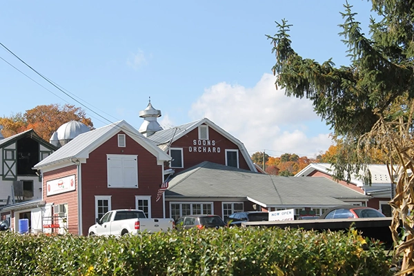 Apple picking in Orange County, New York
